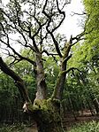 IMG_20260611_102754