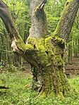 IMG_20260611_102811