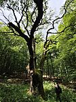 IMG_20260611_102828