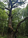 IMG_20260611_102927