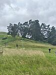 IMG_20260611_115432