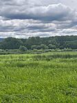 IMG_20260611_144049