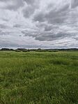 IMG_20260611_144211