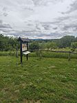 IMG_20260611_145926