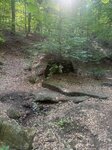 log-image-1780853533056-0