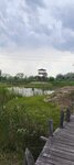 log-image-1782052360757-2
