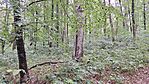20260517_094753