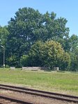 log-image-1781702840608-0