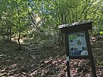 IMG_20260617_101616
