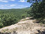 IMG_20260617_101229