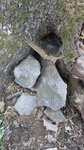 log-image-1783837007225-0