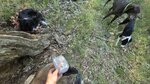 log-image-1783837007226-1
