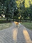 IMG_3093