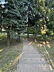 IMG_3095