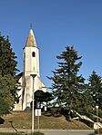 IMG_3098