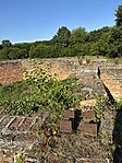 IMG_3103