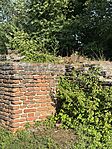 IMG_3104