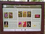 IMG_20260716_062031691_MFNR