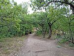 IMG_20260716_062101335_MFNR