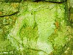IMG_20260724_115112582_SR