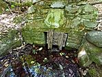 IMG_20260724_115141193_MFNR