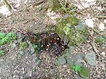 IMG_20260724_115221423_MFNR