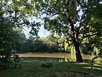 IMG_20260710_081132