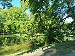 IMG_20260710_081217