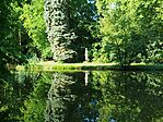 IMG_20260710_081249