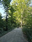 IMG_20260710_081456