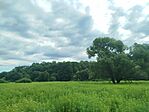 IMG_20260711_090944
