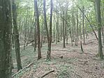 IMG_20260711_092719