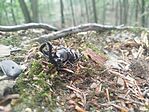 IMG_20260711_092807