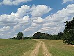 IMG_20260711_130218