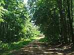 IMG_20260711_125212