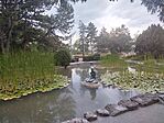 IMG_20260714_201559