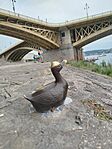 IMG_20260714_190841