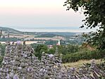 IMG_20260717_202948