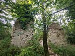 IMG_20260717_194819