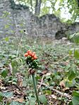 IMG_20260717_194648