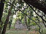 IMG_20260717_194616