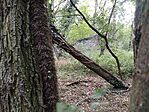 IMG_20260717_194554