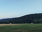 IMG_20260717_193456