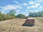 IMG_20260725_095552