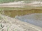 IMG_20260725_102422