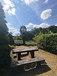 IMG_20260725_102015