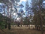 IMG_20260725_122431