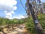 IMG_20260725_130147