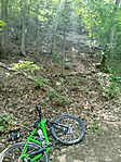 IMG_20260624_085144