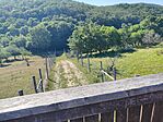 IMG_20260624_085948